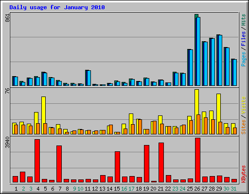 Daily usage for January 2010