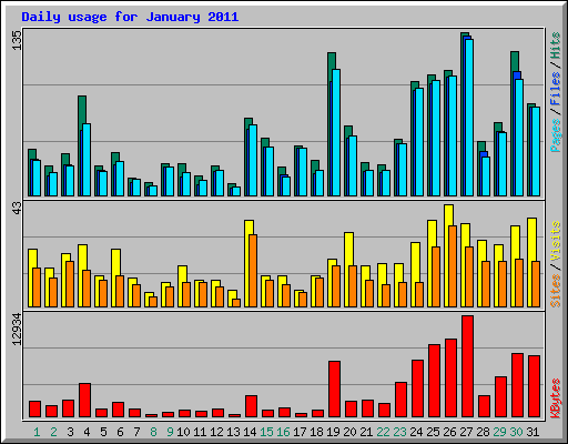 Daily usage for January 2011