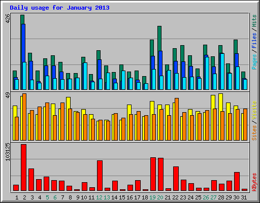 Daily usage for January 2013
