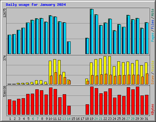 Daily usage for January 2024