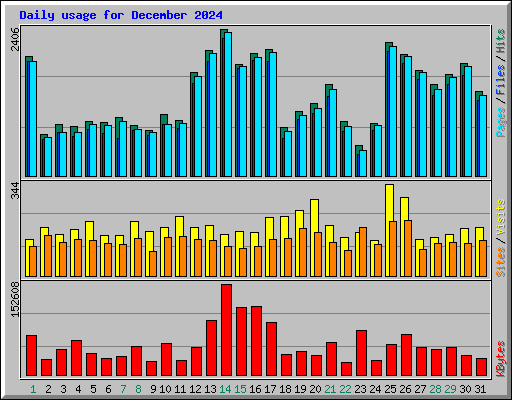 Daily usage for December 2024