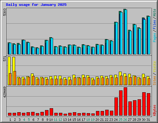 Daily usage for January 2025