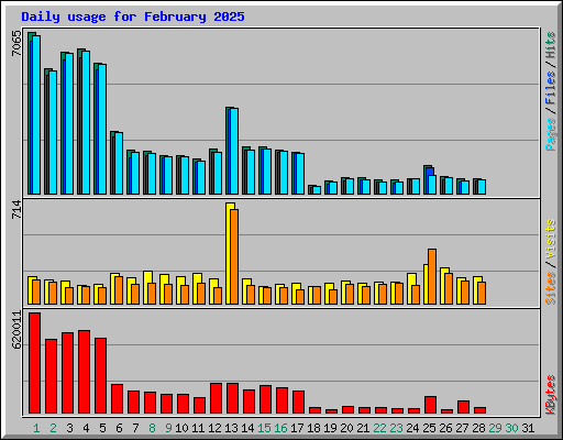 Daily usage for February 2025