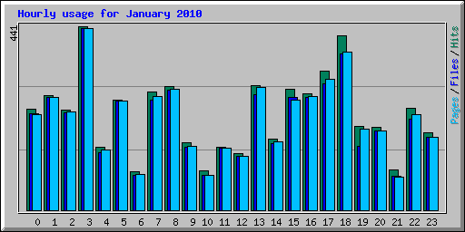 Hourly usage for January 2010