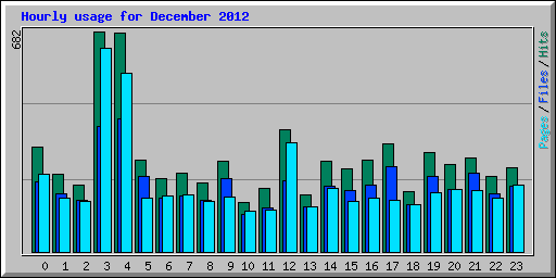 Hourly usage for December 2012
