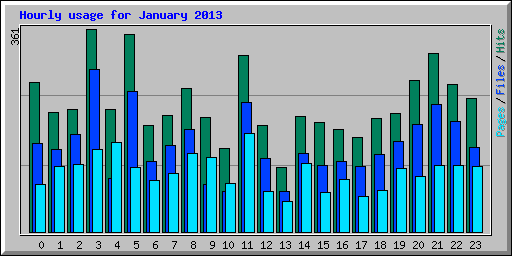 Hourly usage for January 2013