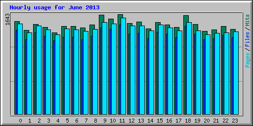 Hourly usage for June 2013