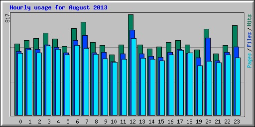 Hourly usage for August 2013