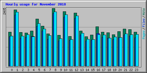 Hourly usage for November 2018