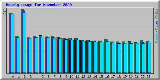 Hourly usage for November 2020