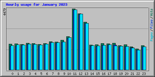 Hourly usage for January 2023