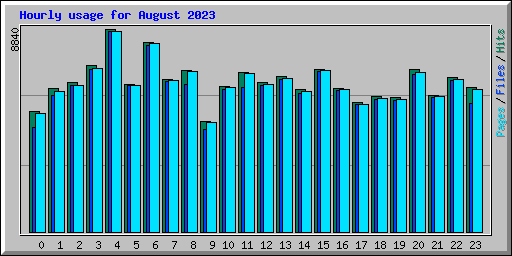 Hourly usage for August 2023