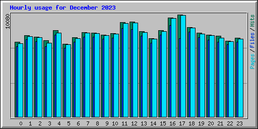 Hourly usage for December 2023