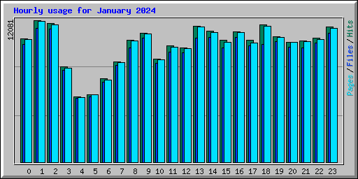Hourly usage for January 2024