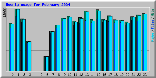 Hourly usage for February 2024