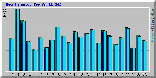 Hourly usage for April 2024