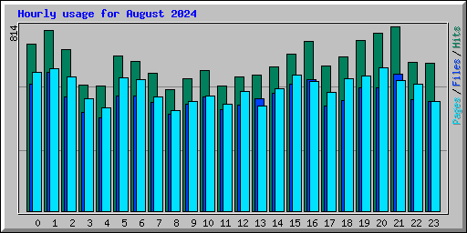 Hourly usage for August 2024
