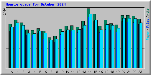 Hourly usage for October 2024