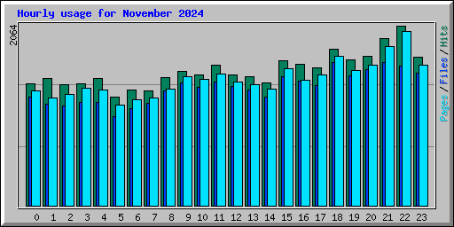 Hourly usage for November 2024