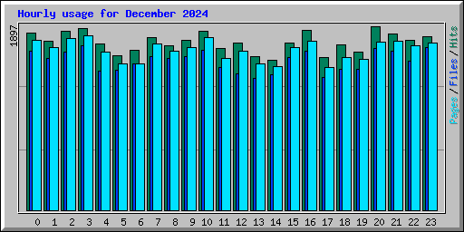 Hourly usage for December 2024