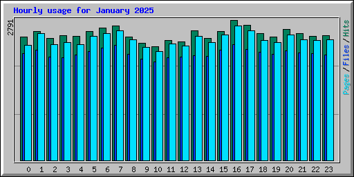 Hourly usage for January 2025