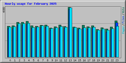 Hourly usage for February 2025