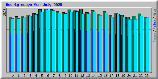 Hourly usage for July 2025