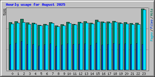 Hourly usage for August 2025