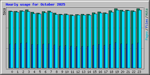 Hourly usage for October 2025