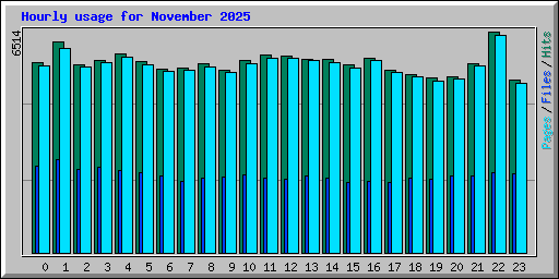 Hourly usage for November 2025