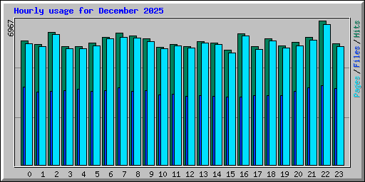 Hourly usage for December 2025