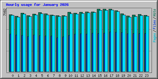 Hourly usage for January 2026