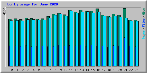 Hourly usage for June 2026